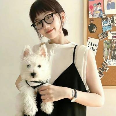 五台山儿女英雄传